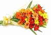 Click image for larger version. 

Name:	flowers_026.jpg 
Views:	10 
Size:	36.5 KB 
ID:	20660