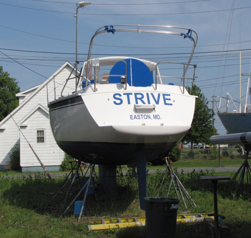 Name:  strive.jpg
Views: 1556
Size:  199.0 KB