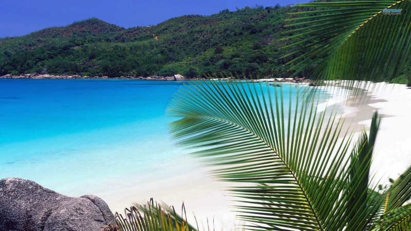 Name:  Seychelles2.jpg
Views: 200
Size:  173.7 KB