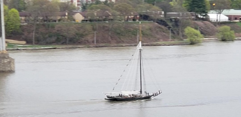 Name:  sails on the hudson.jpg
Views: 76
Size:  78.3 KB