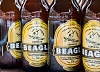 Beagle Beer